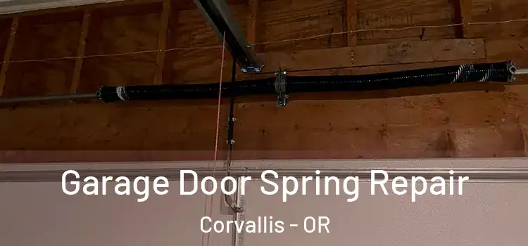  Garage Door Spring Repair Corvallis - OR