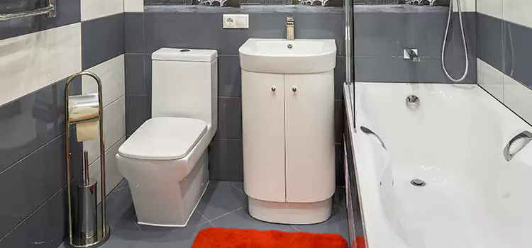 Hansgrohe Shaving Mirror Corvallis